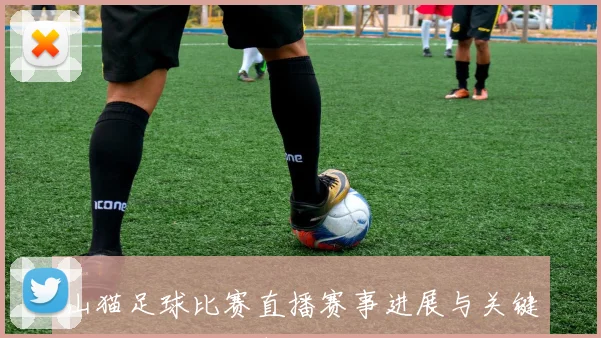 山猫足球比赛直播赛事进展与关键看点解析助攻射门结果影响双方战术布局