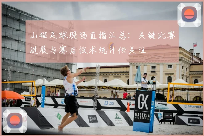 山猫足球现场直播汇总：关键比赛进展与赛后技术统计供关注