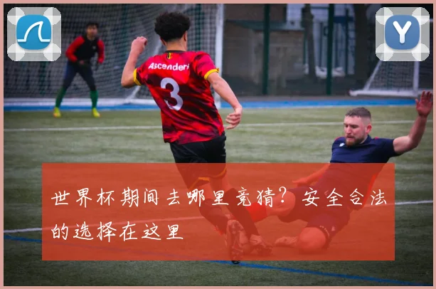 世界杯期间去哪里竞猜?安全合法的选择在这里