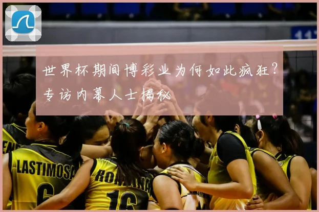 世界杯期间博彩业为何如此疯狂？专访内幕人士揭秘