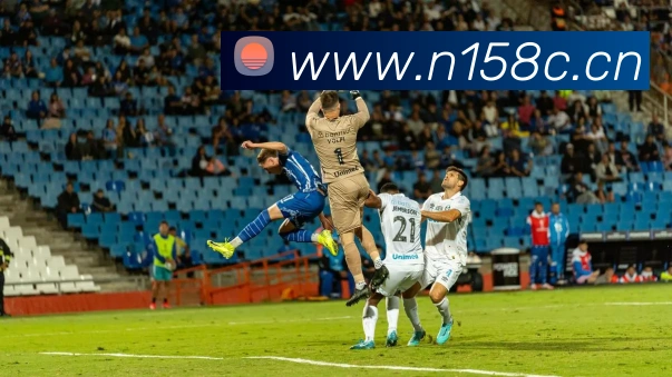 leyu乐鱼网页APP 封面图